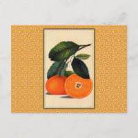 Impresión botánica de Naranja Vintage