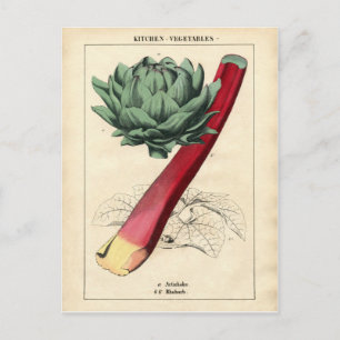 Postal Impresión botánica de Rhubarb vintage