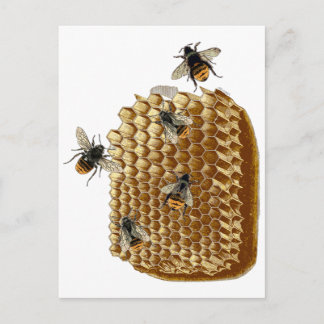 Postal Impresión de abejas, Ilustracion de honeycomb, cos