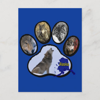 Postal Impresión de Alaska de la pata del lobo