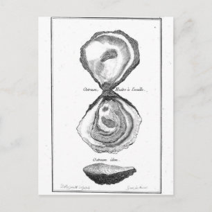 Postal Impresión de animales de ostión de cosecha de vint