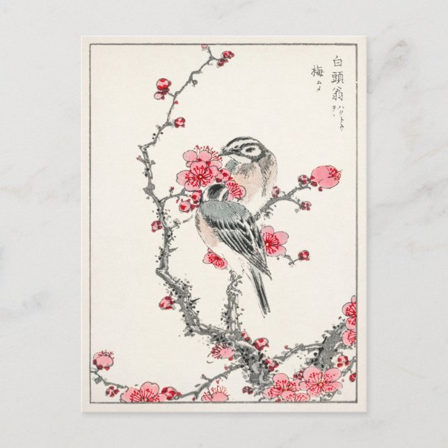 Postal Impresión de arte antiguo japonés de ciruela de pá (Anverso)