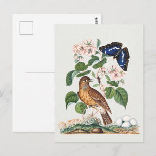 Postal Impresión de arte floral botánico y de aves vintag
