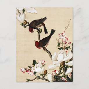 Postal Impresión de arte vintage de magnolia blanca y páj