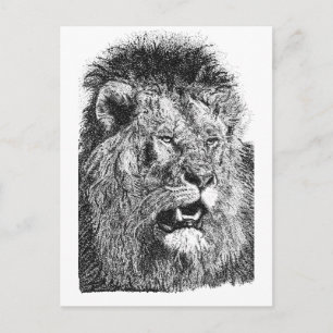 Postal Impresión de cabeza de león negro blanco Arte de v