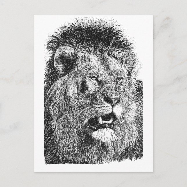 Postal Impresión de cabeza de león negro blanco Arte de v (Anverso)
