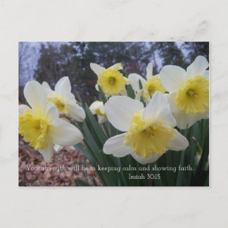 Postal Impresión de daffodil con Isaiah 30:15