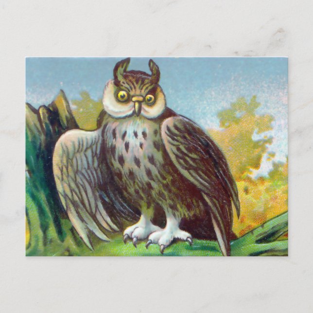 Postal Impresión de lechuza vintage (Anverso)