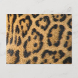 Postal Impresión de leopardo