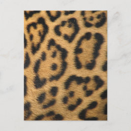 Postal Impresión de leopardo