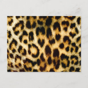Postal Impresión de leopardo