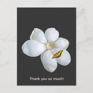 Postal Impresión de magnolia, papel de póster de valor (s