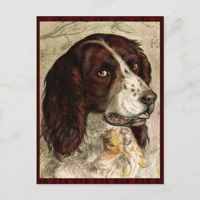 Postal Impresión de perro español de Cocker (Anverso)