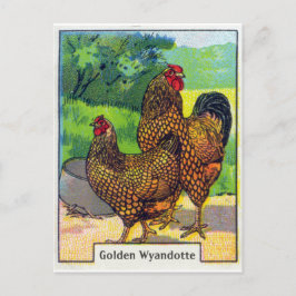 Postal Impresión de pollo de época