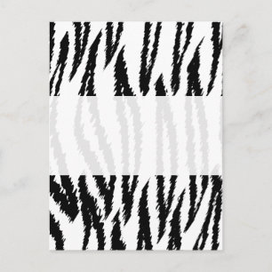 Postal Impresión de tigres blancos y negros. Patrón Tigre