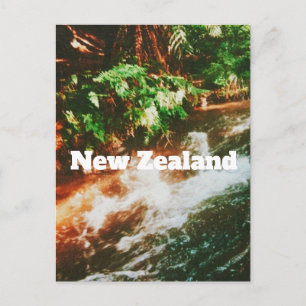 Postal Impresión de viaje a Nueva Zelanda