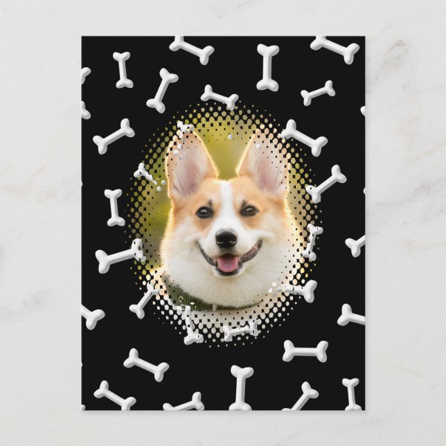 Postal Impresión del marco del perro del patrón óseo (Anverso)