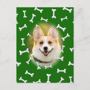 Postal Impresión del marco del perro del patrón óseo