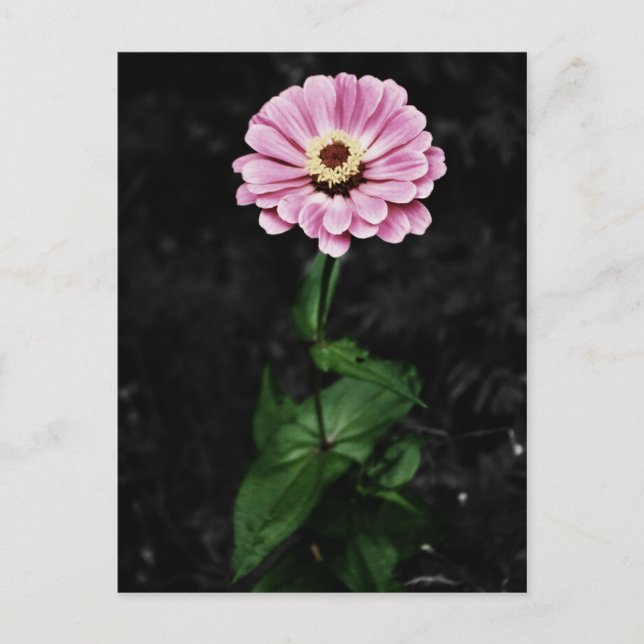 Postal Impresión duradera (Anverso)