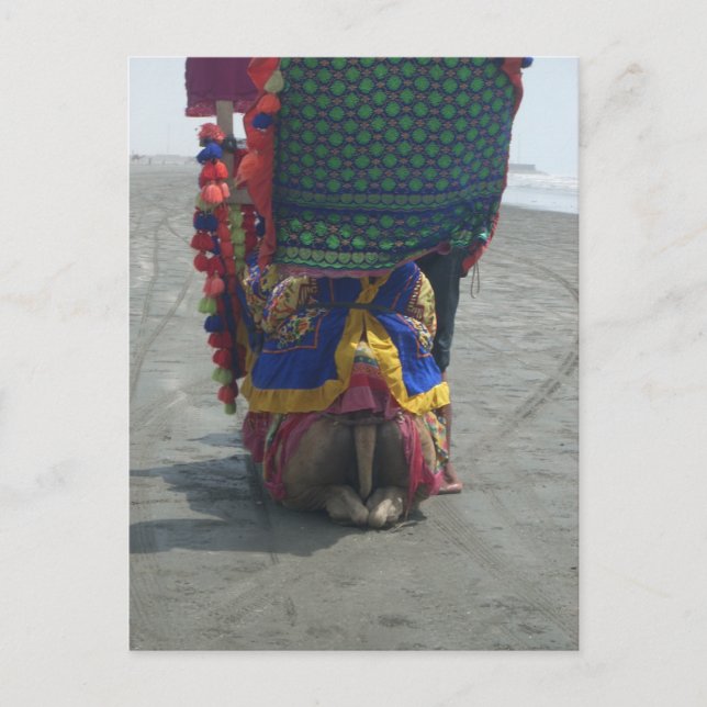 Postal Impresión/gráfico de arte capilar caprichoso (Anverso)