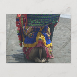 Postal Impresión/gráfico de arte capilar caprichoso