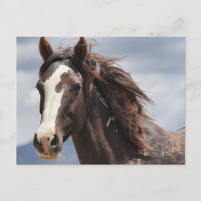 Postal Impresionante (Anverso)