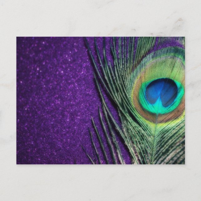 Postal Impresionante pavo real (Anverso)