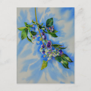 Postal Impresionante pintura de arándano azul