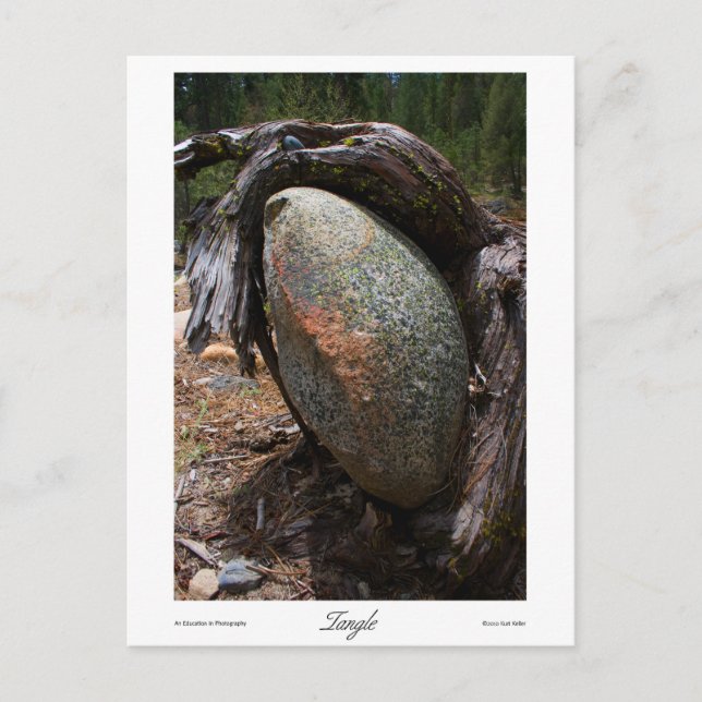 Postal Impresiones de ángulo (Anverso)