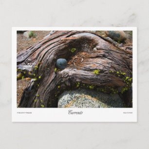 Postal Impresiones de corrientes