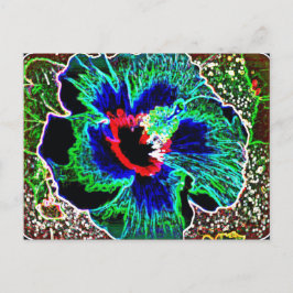 Postal Impresiones de Hibiscus en Hawaii mejoradas