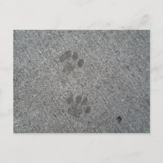Postal Impresiones de Kitty