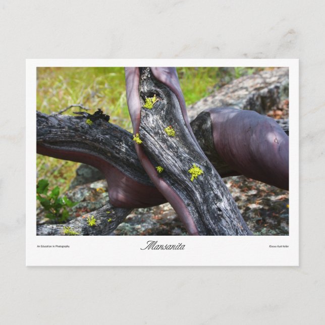 Postal Impresiones de Mansanita (Anverso)