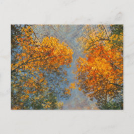 Postal Impresionismo otoñal