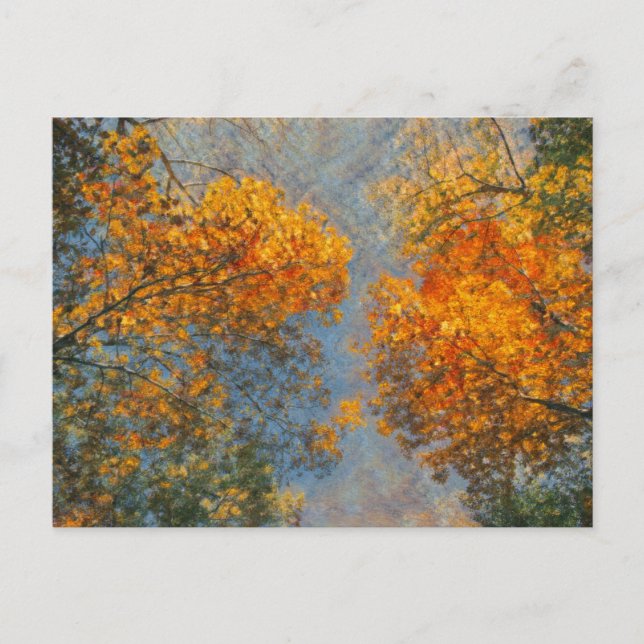 Postal Impresionismo otoñal (Anverso)