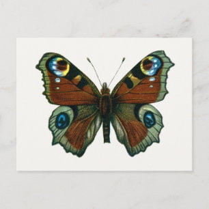 Postal Inachis io - La mariposa de pavo real europea