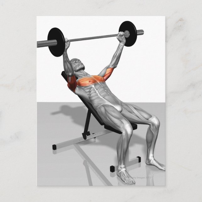 Postal Incline Bench Press (Anverso)