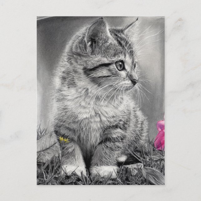 Postal indefinido (Anverso)