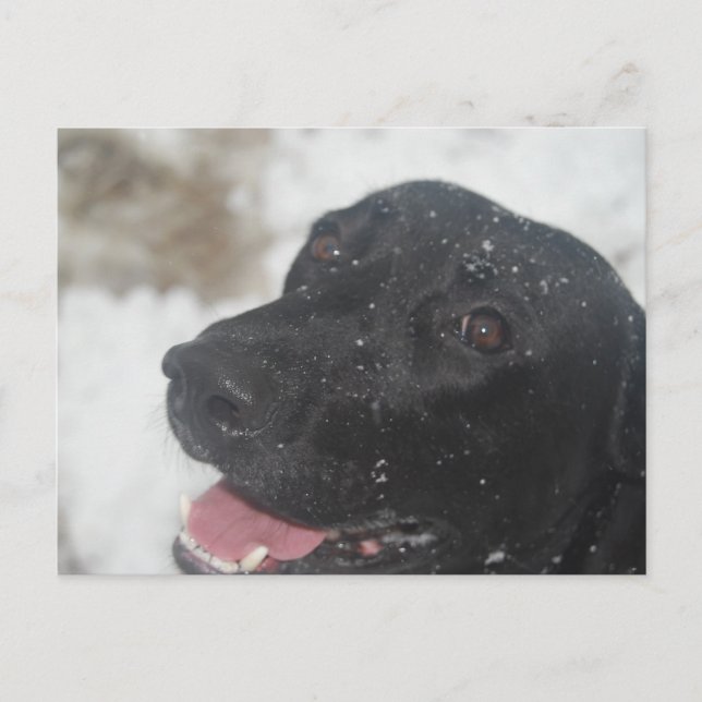 Postal indefinido (Anverso)