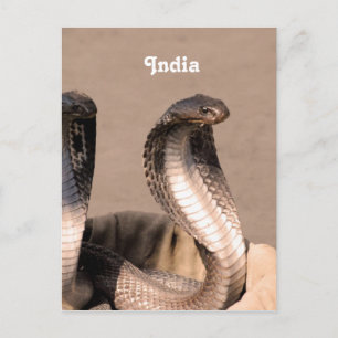 Postal India Cobra