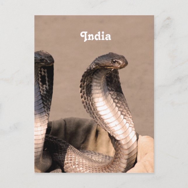 Postal India Cobra (Anverso)