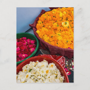 Postal India, Rajastán, Pipar