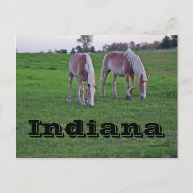 Postal Indiana (Anverso)