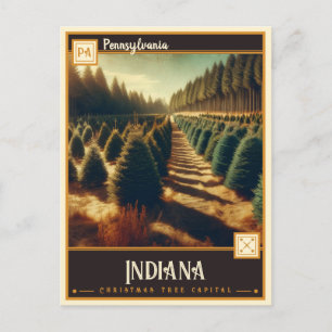 Postal Indiana, Pensilvania   Vintage