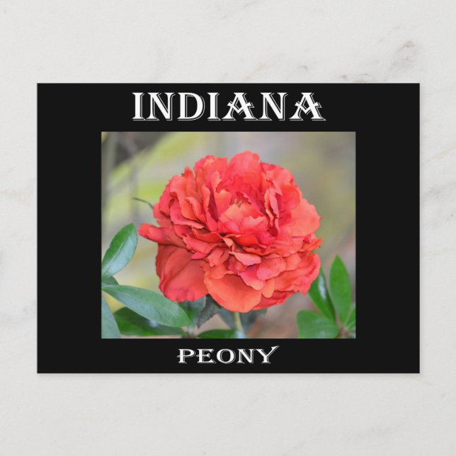 Postal Indiana Peony (Anverso)