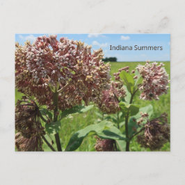 Postal Indiana Summers