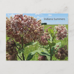 Postal Indiana Summers
