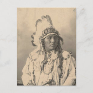 Postal Indias de la época : Conejo de Jack Visto, Crow -