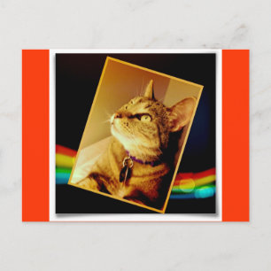Postal Indigo arcoiris