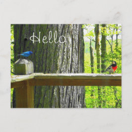 Postal Indigo Bunting & Rosa Breast Grosbeak